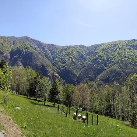Hostel Valgrande Cicogna (Verbano-Cusio-Ossola)