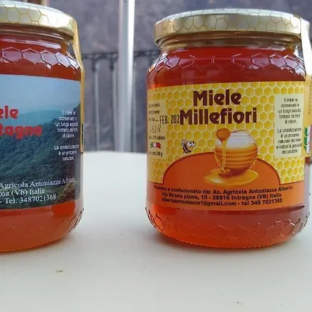 Valgrande Albergue Cicogna