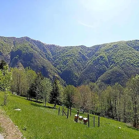Ostello Del Parco Di Cicogna (Verbano-Cusio-Ossola)