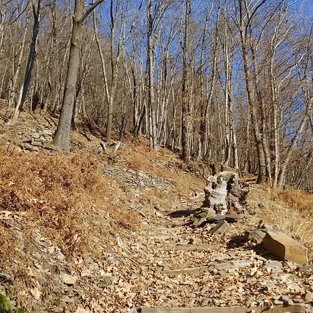 Ostello Del Parco Di Cicogna (Verbano-Cusio-Ossola)