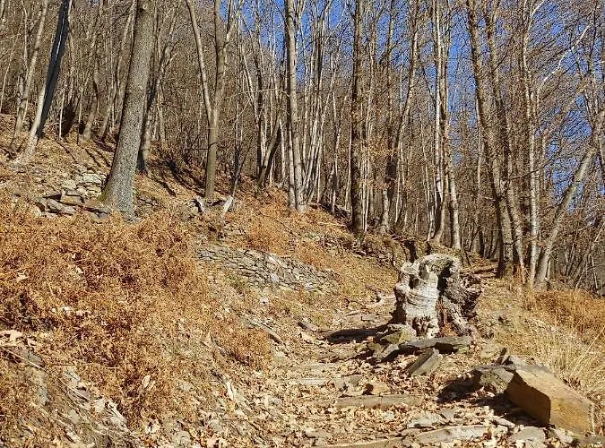 Valgrande * Cicogna